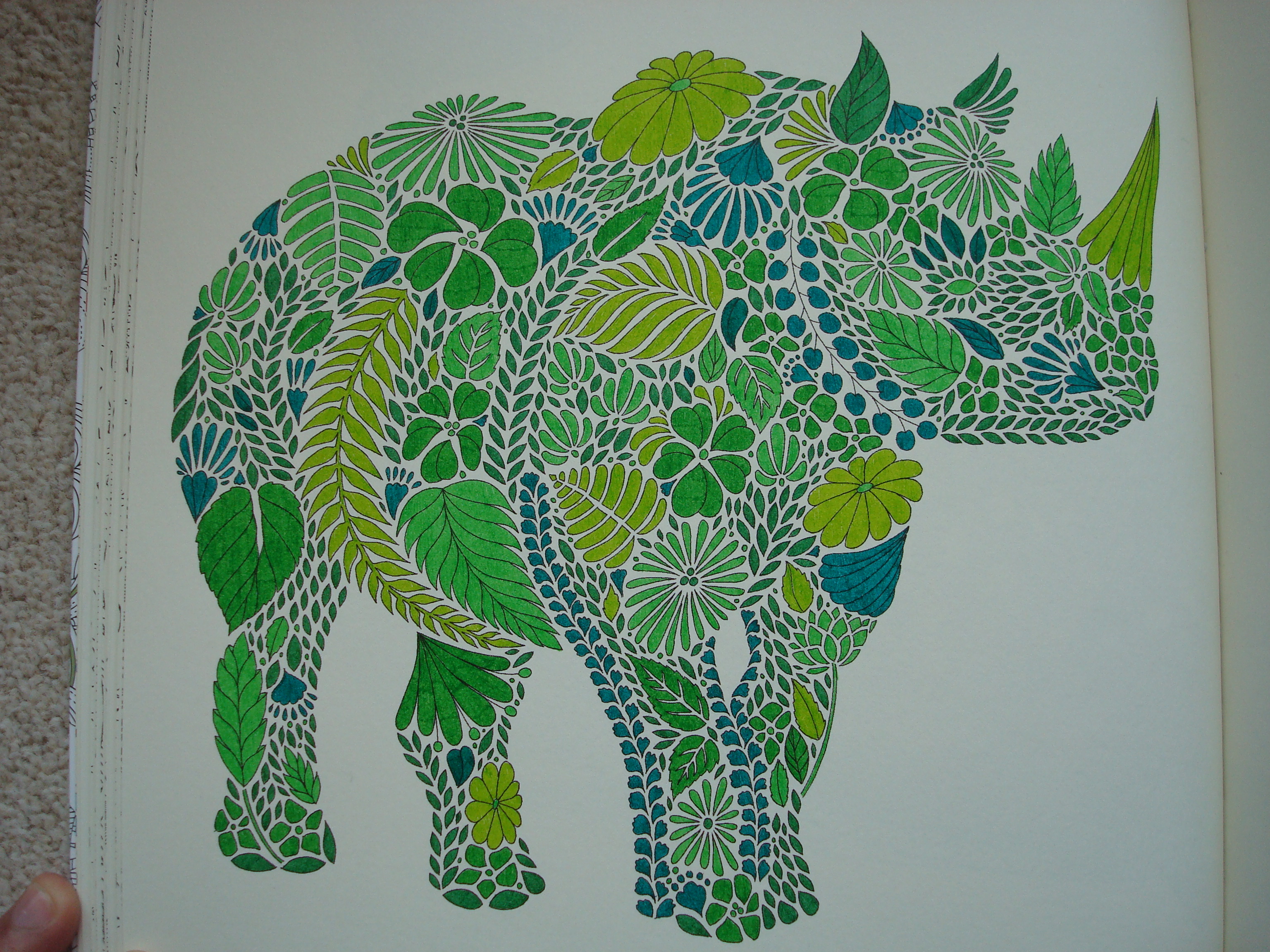 Millie Marotta's Animal Kingdom 20   Colouring In The Midst Of ...