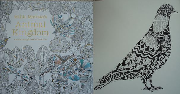 Featured image of post Animal Kingdom Colouring Book Birds Animal that gives birth to live babies not eggs and feeds them on its own milk e g