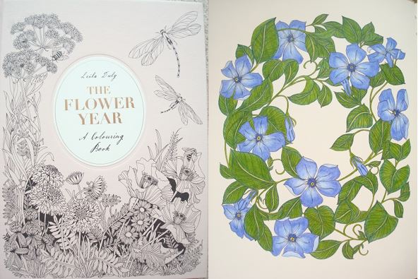 The Flower Year: A Colouring Book – A Review